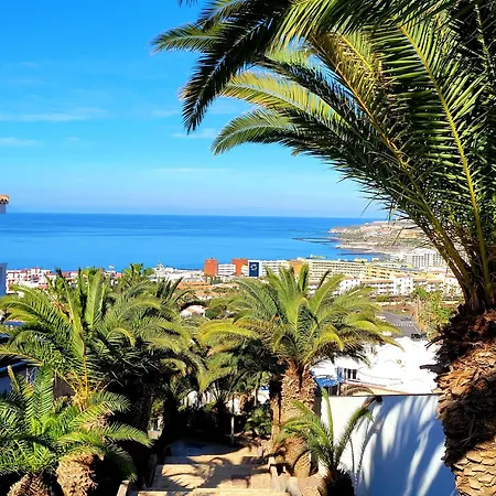 Semesterbostad El Musgo Mit Meerblick Und Pool